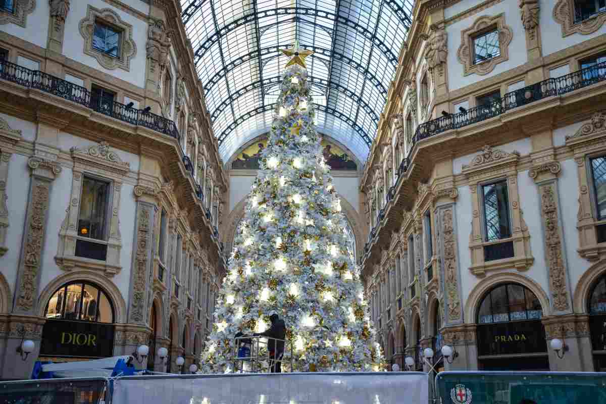 Natale albero